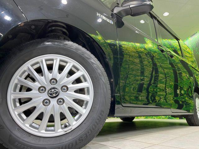 ヴォクシー（新潟県長岡市）