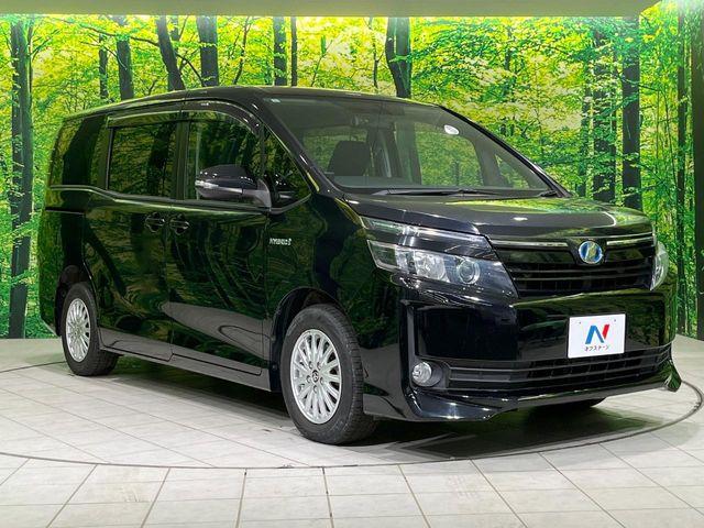 ヴォクシー（新潟県長岡市）