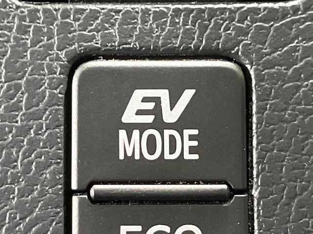 ヴォクシー（新潟県長岡市）