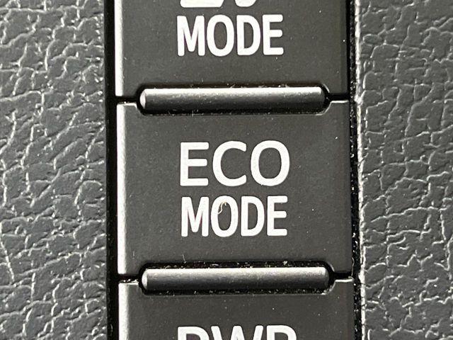 ヴォクシー（新潟県長岡市）