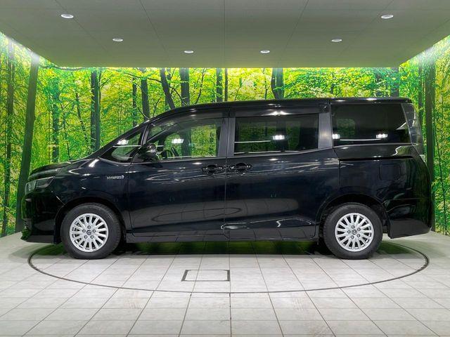 ヴォクシー（新潟県長岡市）