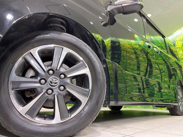 ヴォクシー（新潟県長岡市）