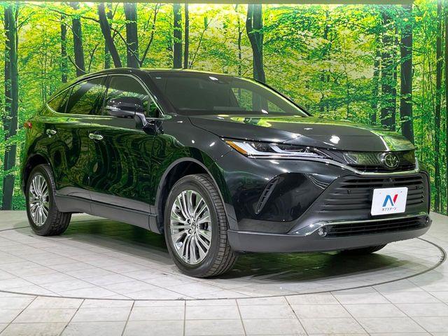 ハリアー（新潟県長岡市）画像16