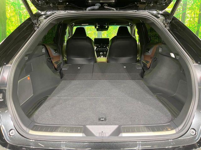 ハリアー（新潟県長岡市）画像23