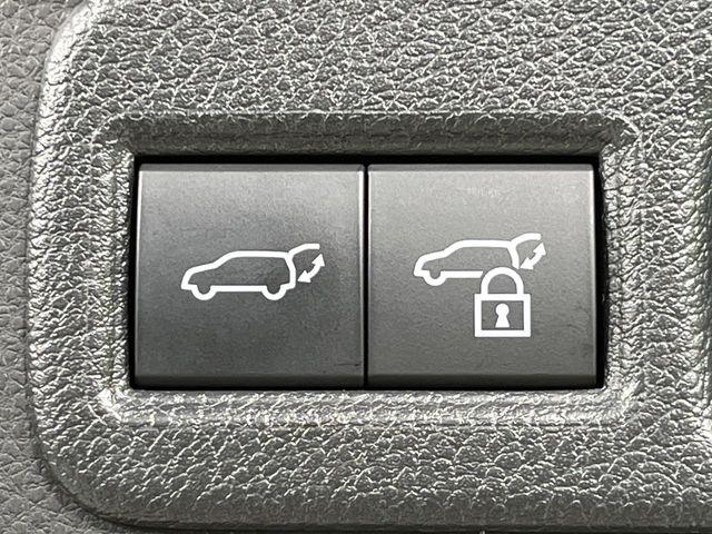 ハリアー（新潟県長岡市）画像34