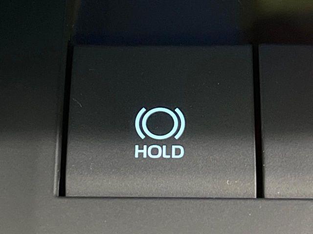 ハリアー（新潟県長岡市）画像51