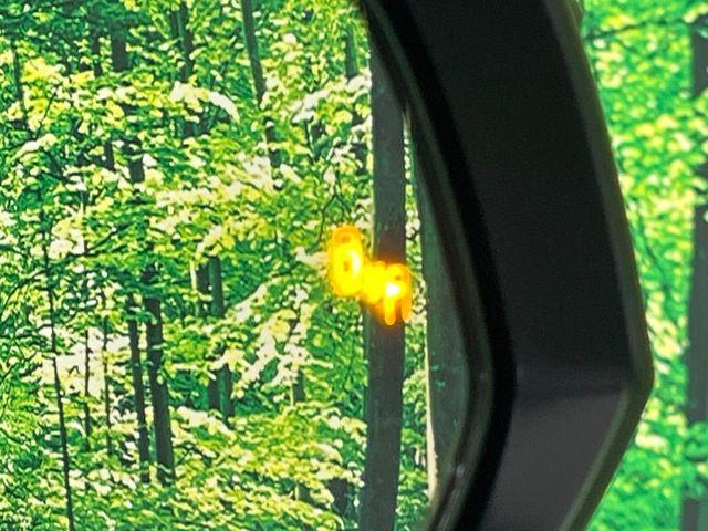 ハリアー（新潟県長岡市）画像65