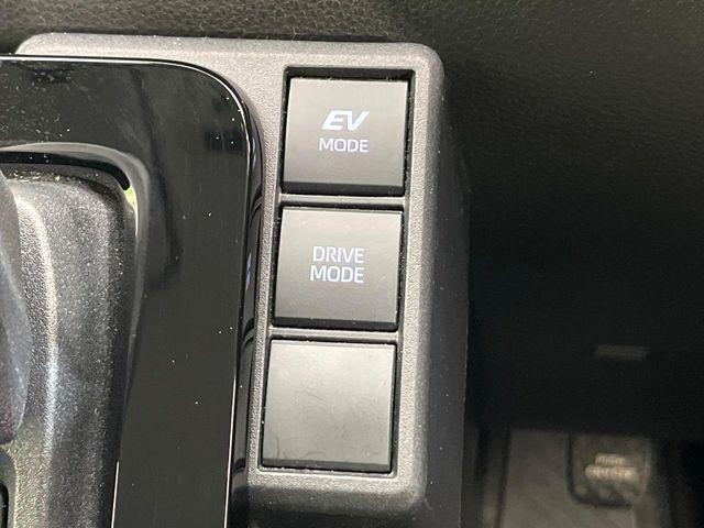 シエンタ（新潟県新潟市東区）