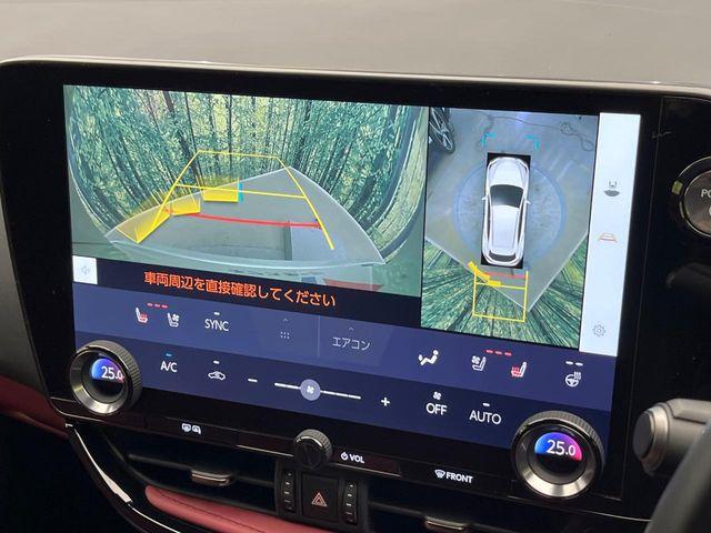 レクサスＮＸ（新潟県新潟市南区）