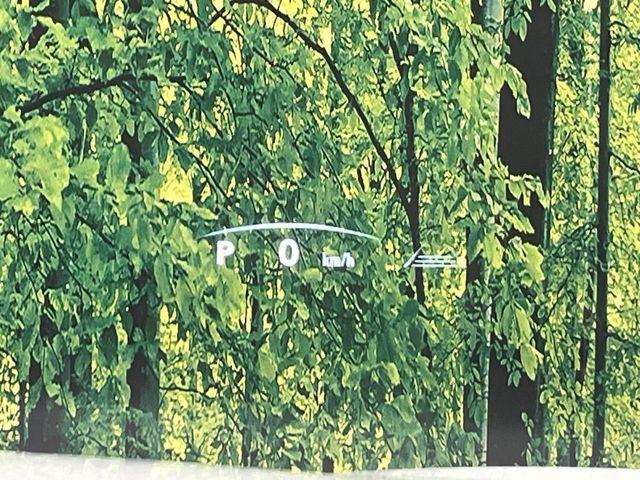 レクサスＮＸ（新潟県新潟市南区）