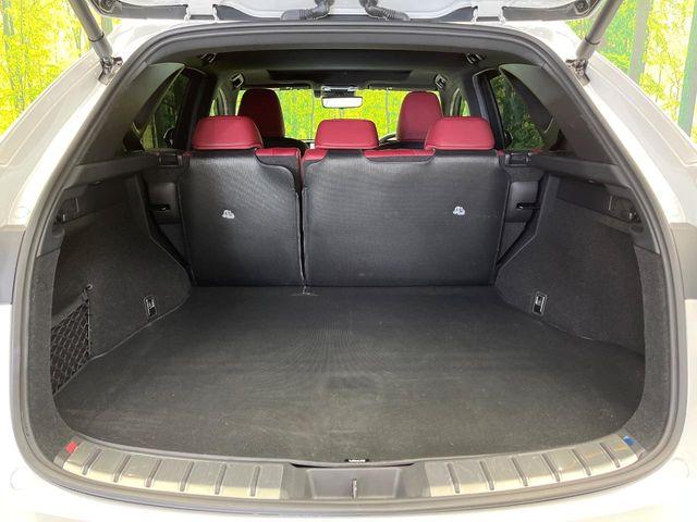 レクサスＮＸ（新潟県新潟市南区）