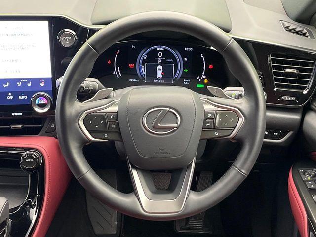 レクサスＮＸ（新潟県新潟市南区）