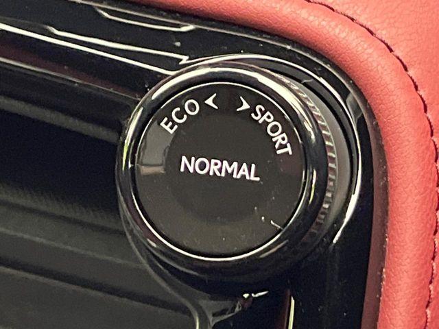 レクサスＮＸ（新潟県新潟市南区）