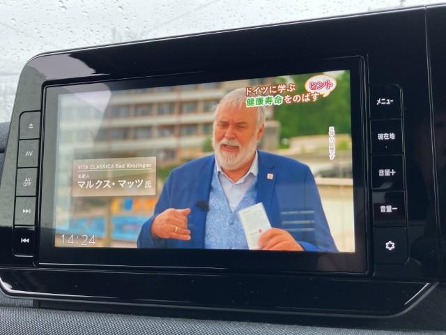 サクラ（新潟県燕市）画像12