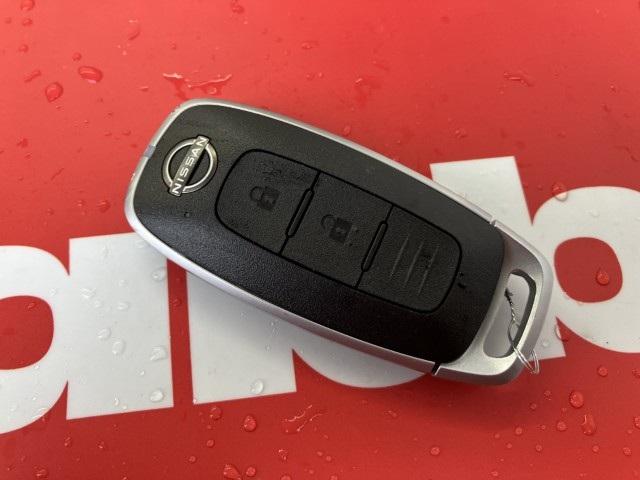 サクラ（新潟県燕市）画像24