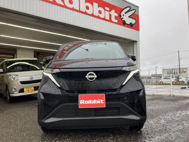 サクラ（新潟県燕市）画像29