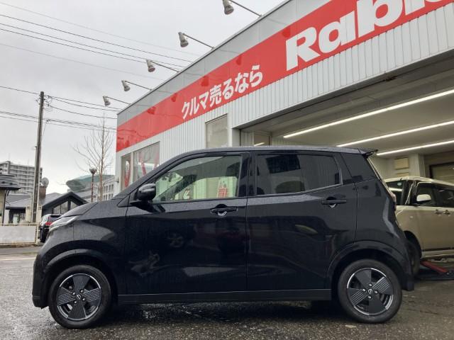 サクラ（新潟県燕市）画像27