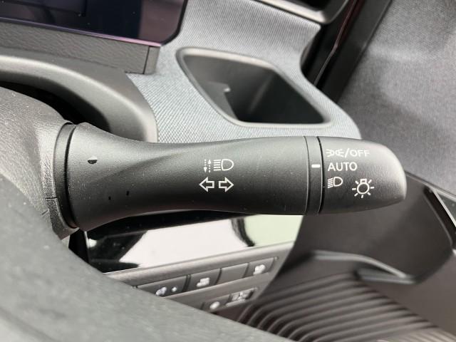 サクラ（新潟県燕市）画像7