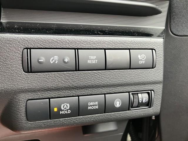 サクラ（新潟県燕市）画像8