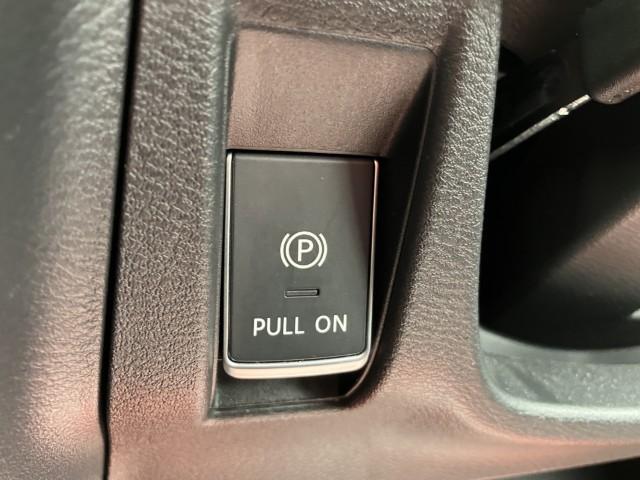 サクラ（新潟県燕市）画像10