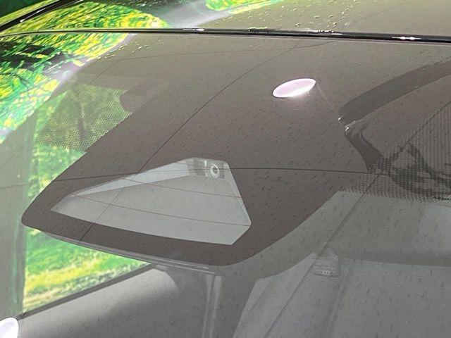 ヤリス（新潟県長岡市）