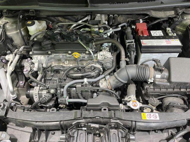 ヤリス（新潟県長岡市）