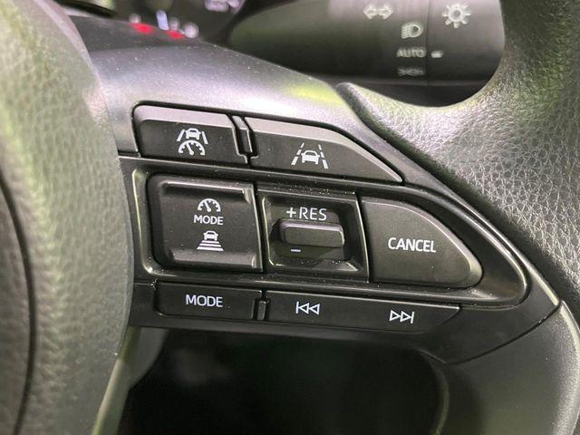 ヤリス（新潟県長岡市）