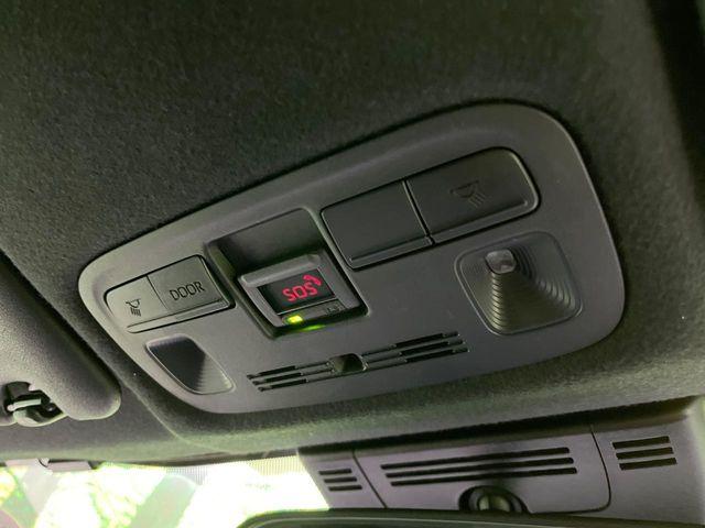 ヤリス（新潟県長岡市）