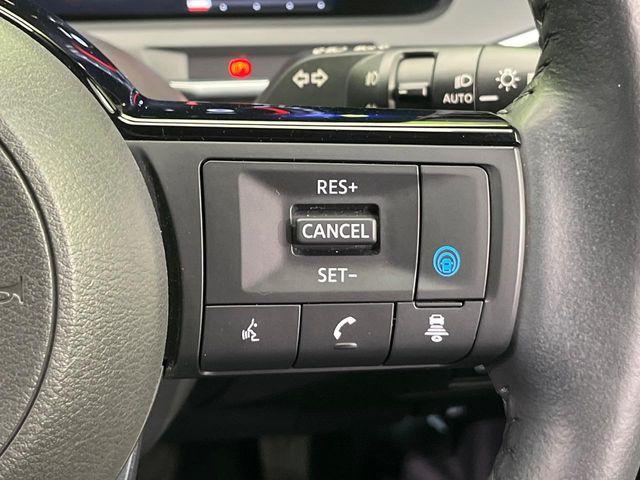 オーラ（新潟県新潟市南区）