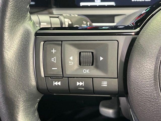 オーラ（新潟県新潟市南区）