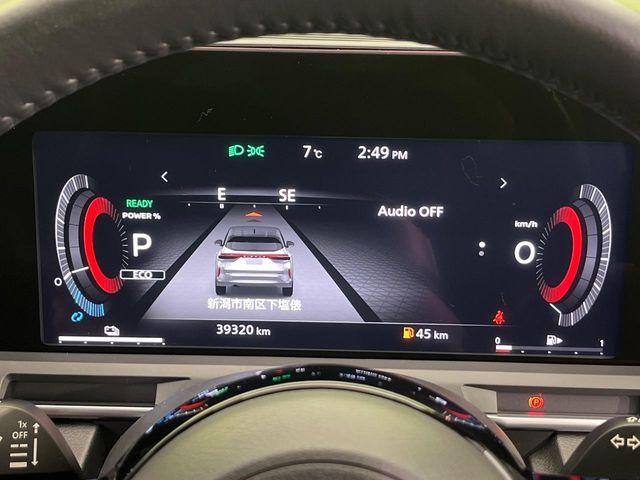 オーラ（新潟県新潟市南区）