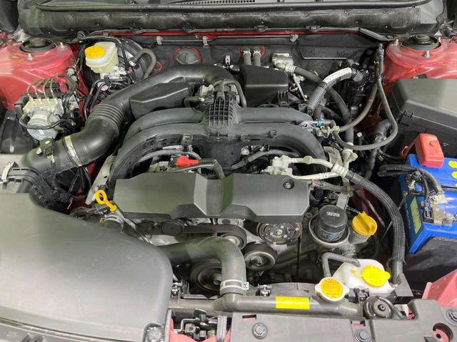 アウトバック（新潟県長岡市）