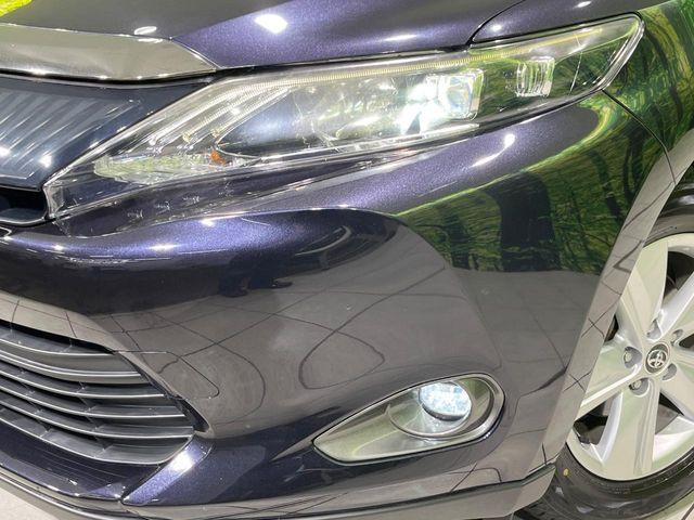 ハリアー（新潟県長岡市）