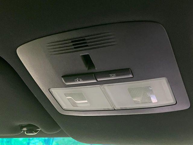 ハリアー（新潟県長岡市）