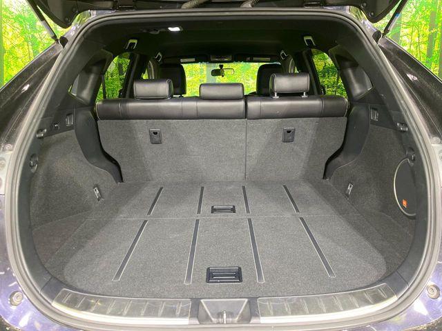 ハリアー（新潟県長岡市）