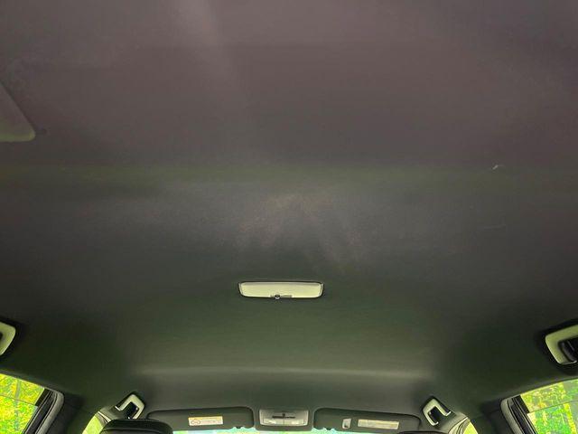 ハリアー（新潟県長岡市）