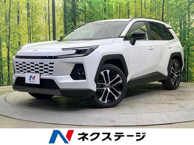 ＲＡＶ４（新潟県新潟市南区）