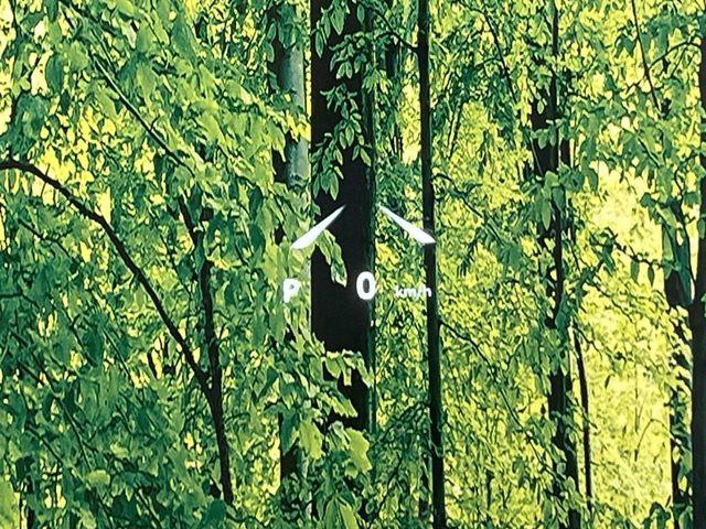 ＲＡＶ４（新潟県新潟市南区）