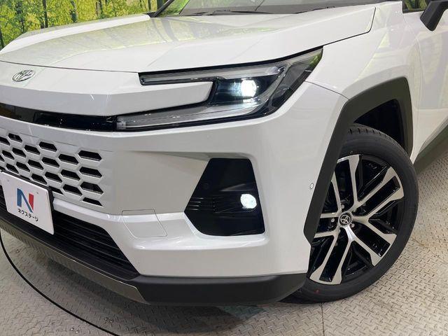 ＲＡＶ４（新潟県新潟市南区）