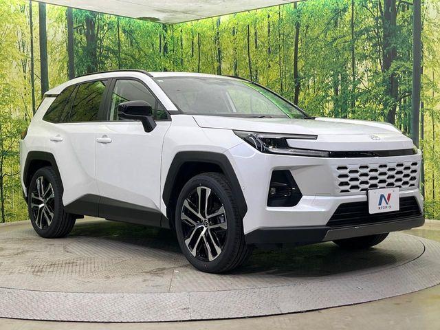 ＲＡＶ４（新潟県新潟市南区）