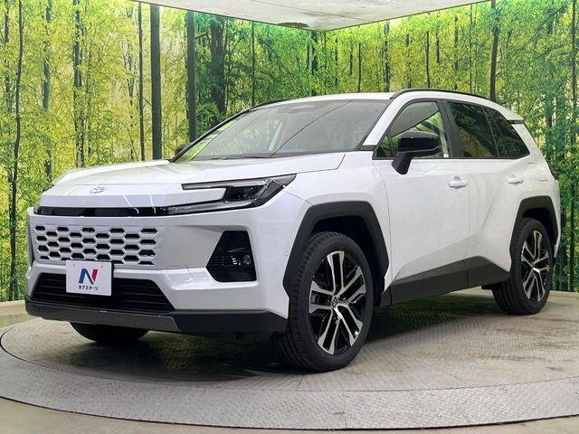 ＲＡＶ４（新潟県新潟市南区）