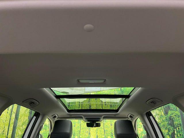 ＲＡＶ４（新潟県新潟市南区）