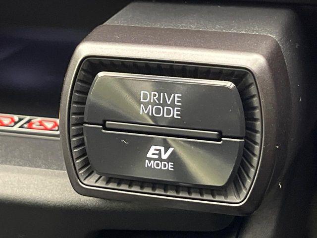 ＲＡＶ４（新潟県新潟市南区）