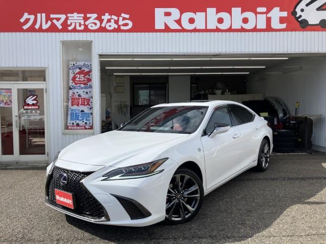 レクサスES（新潟県燕市）