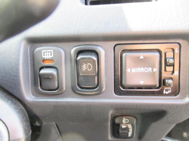 テリオスキッド（新潟県新潟市西区）