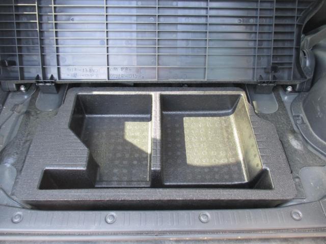 テリオスキッド（新潟県新潟市西区）