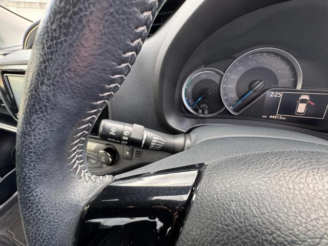 ヴィッツ（新潟県新潟市西区）