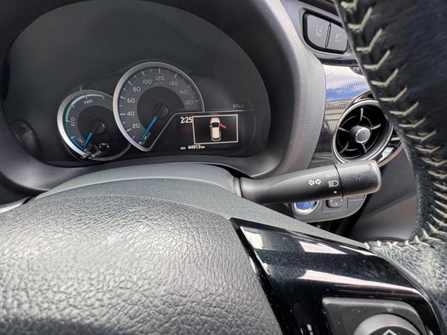 ヴィッツ（新潟県新潟市西区）