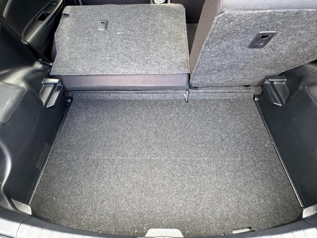 ヴィッツ（新潟県新潟市西区）