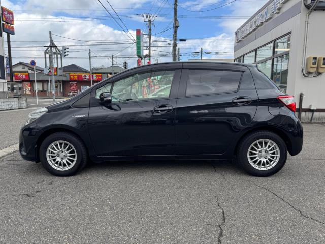 ヴィッツ（新潟県新潟市西区）